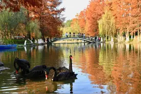 -9℃！气温暴跌，严重冰冻！大风预警！宁波人摒牢！好消息是→图片