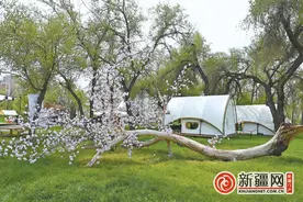踏青好季节 露营正当时——乌鲁木齐市周边露营基地推荐图片