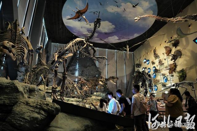 博物馆里有什么？这些神奇“宝藏”，等你探秘→