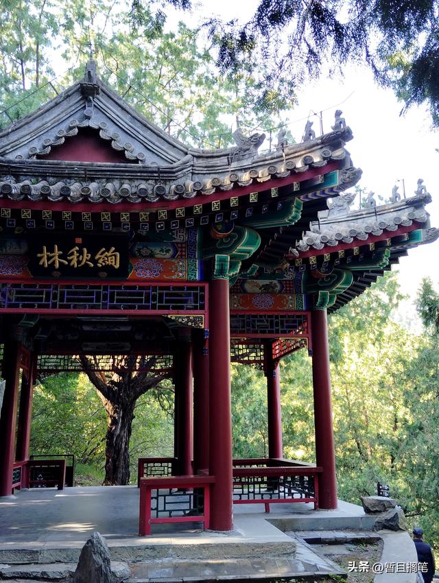 以我4次经历，带你打卡北京香山，北京的朋友请补充