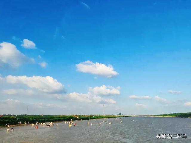 夏日的沭阳是一首流动的诗