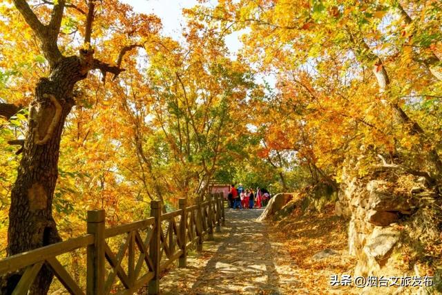 【乐游烟台】一眼惊艳！烟台这座小城最近太火了