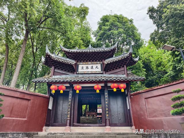 成都徒步（64）·新津篇③观音寺