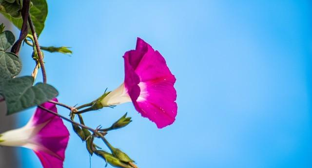 60岁阿姨直言不讳：两性关系中，女人最渴望的不是钱，而是这4样