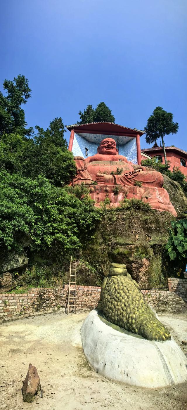 从乾龙湖的蝉声到灵音寺的禅声