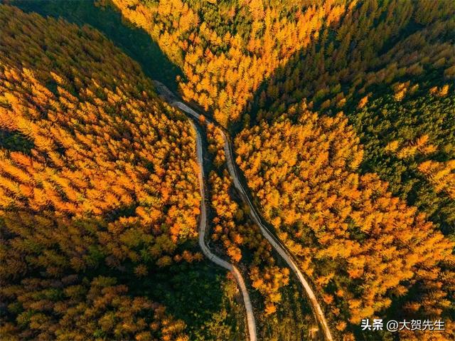 IP破圈与枢纽重构,陇南如何在川甘文旅走廊中战略突围?