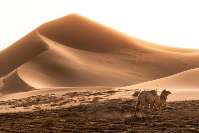 我是烟台人，去了一趟内蒙古后，忍不住想和大家分享我的内蒙印象
