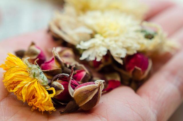 玫瑰VS菊花茶？二者结合功效翻倍，这些好处快码住！