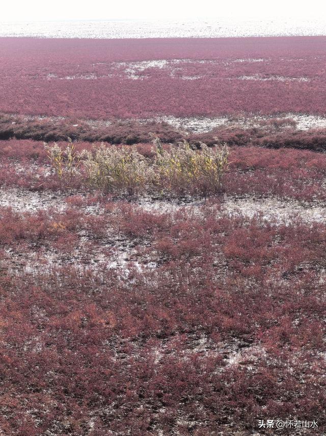 2025辽宁赏秋之旅日记(5)——从本溪前往盘锦 游览红海滩景观