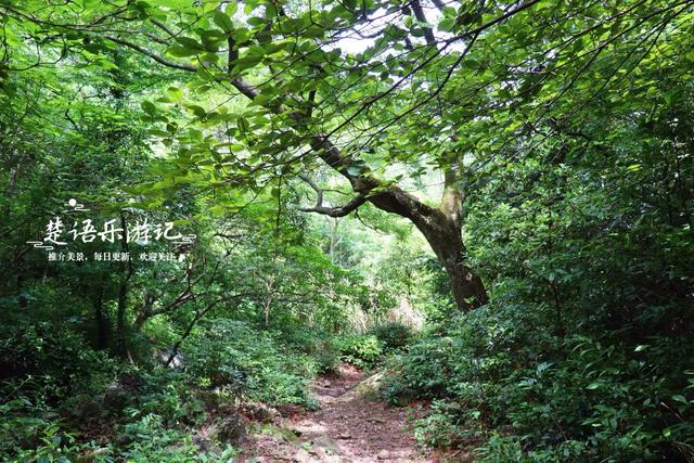 宁波北仑的虾蜡龙潭森林步道，龙潭双瀑藏于秘境，沿途风景都很美