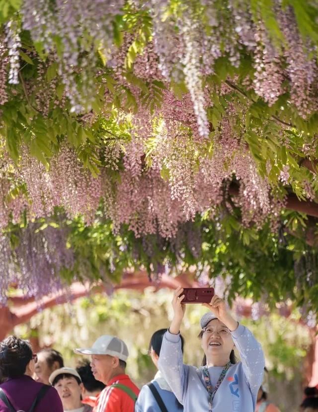 喜报！西河镇镶月湖、梨峪口景区成功获评国家2A级旅游景区！