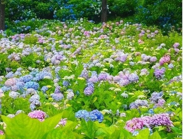 心理学：男女交往，为什么要远离“偏执型人格障碍”的人？