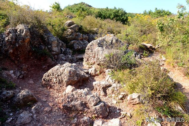 延庆应梦寺（五）：山巅极目收千嶂，林海听风涤尘心