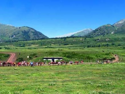 新疆旅游：喀纳斯梦幻之旅全景大扫描（图）