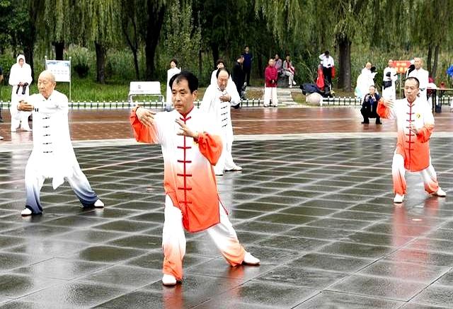 太极的 “柔” 是弹簧不是棉花！会呼吸 + 练柔成刚，才是真太极