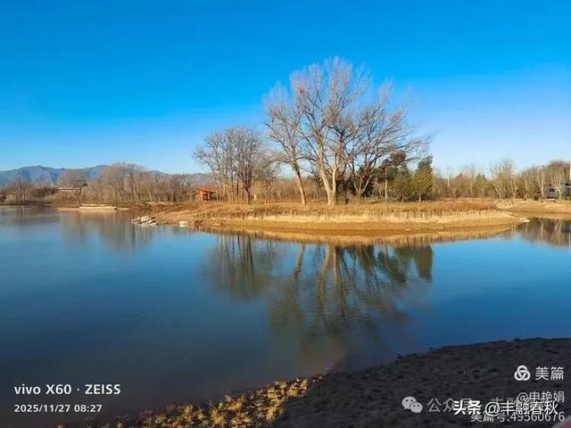 初冬北京玉河湿地公园游记|申艳娟