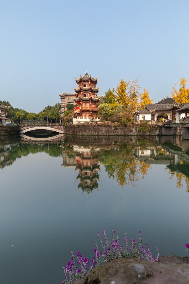 独爱成都百花潭！800 年银杏染秋，登散花楼解锁城市安逸时光