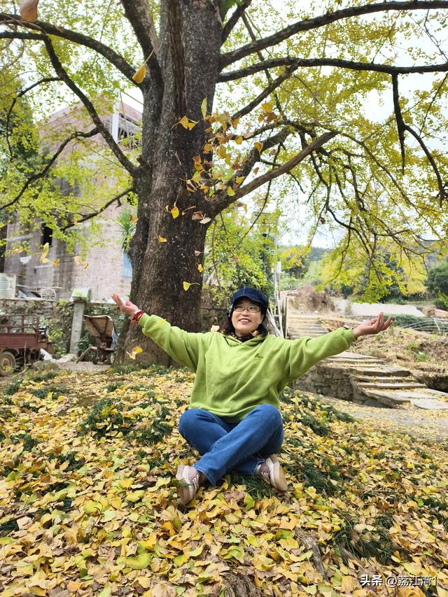 金叶映古村，醉美长岗岭