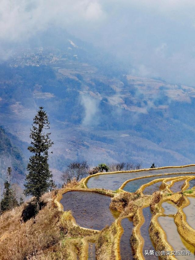 元阳梯田：大地曲线里的千年秘境，五大打卡点解锁地球最美光影