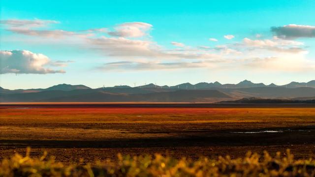 【辉煌60年·新时代西藏答卷】哲古草原:与藏野驴的秋日私语