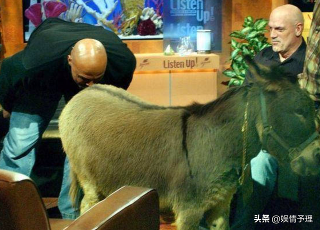 辞职篮协主席的姚明，如今怎样了？