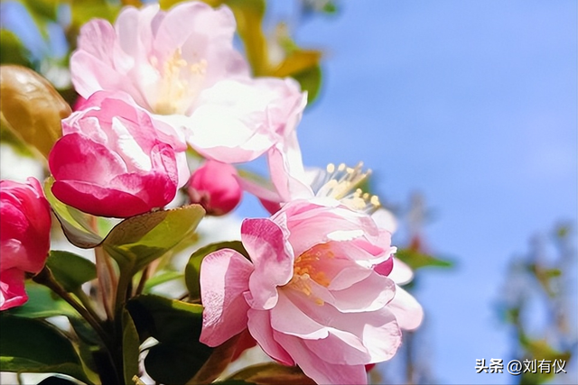 不管你信不信，过了50岁旅游的心气就淡了，就算出门也少了激情