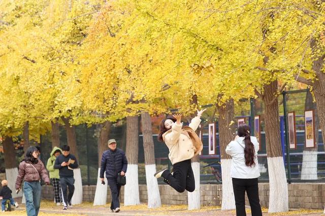 沈阳这些地方太美了!赏秋倒计时,错过等一年!