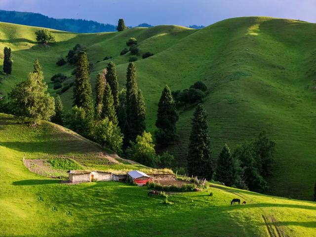 草原花海,塞外江南——超全新疆伊犁旅游攻略