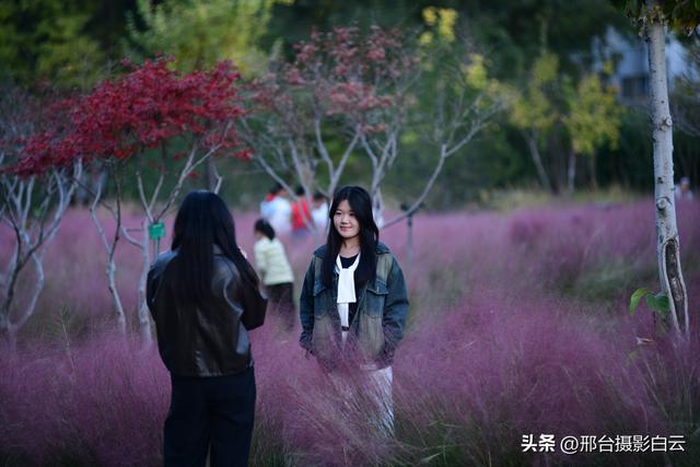 达活泉，这才是秋天该有的样子（图）