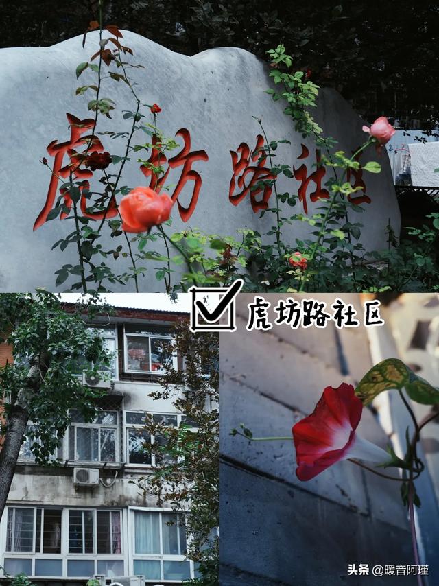 虎坊桥→珠市口,把怀旧走成一部流动电影