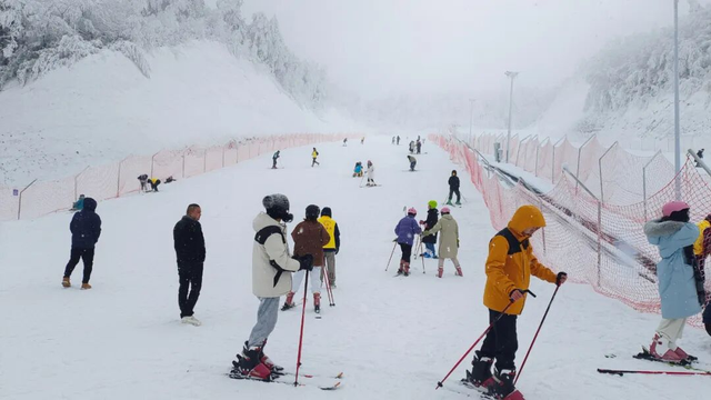 三场大戏+五大活动，宁强元旦狂欢倒计时！