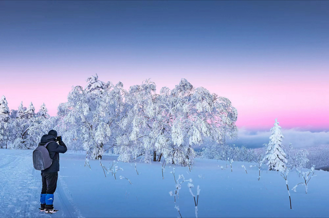 哈尔滨凤凰山冬景即将上线！雾凇林海与雪地运动共绘冰雪秘境