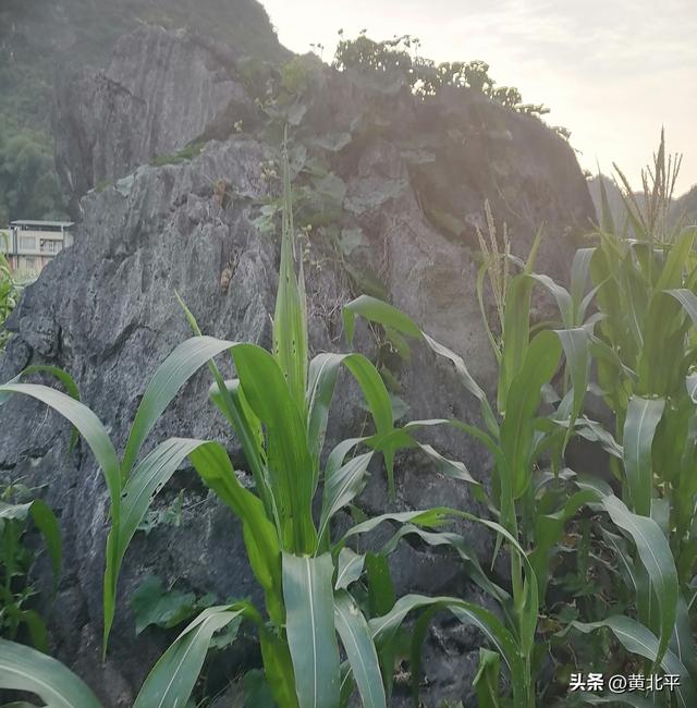 广西南宁市隆安县二级公路边的古文物，明朝知县姚居易酒后的佳作