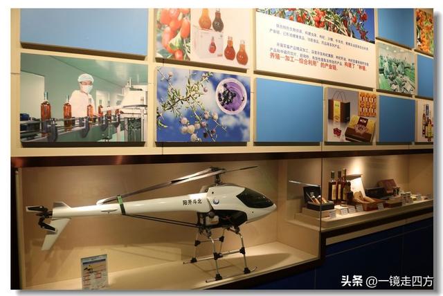 青海省博物馆里的“大美青海”成就展