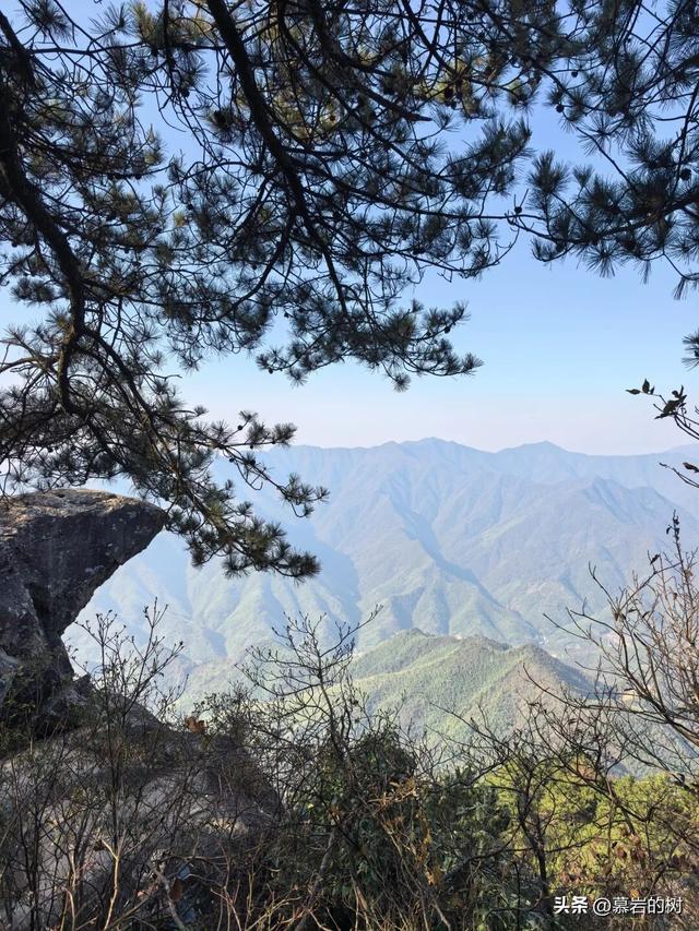 衢州老鹰石游步道，竹林里的徒步登山道