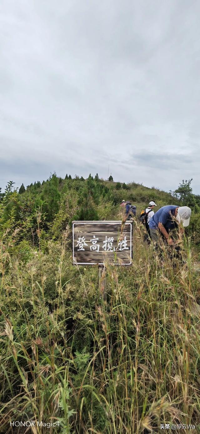 ​​​忍着胸上方肋骨的疼痛，爬了个齐长城，累计拔高900+，走了13公里