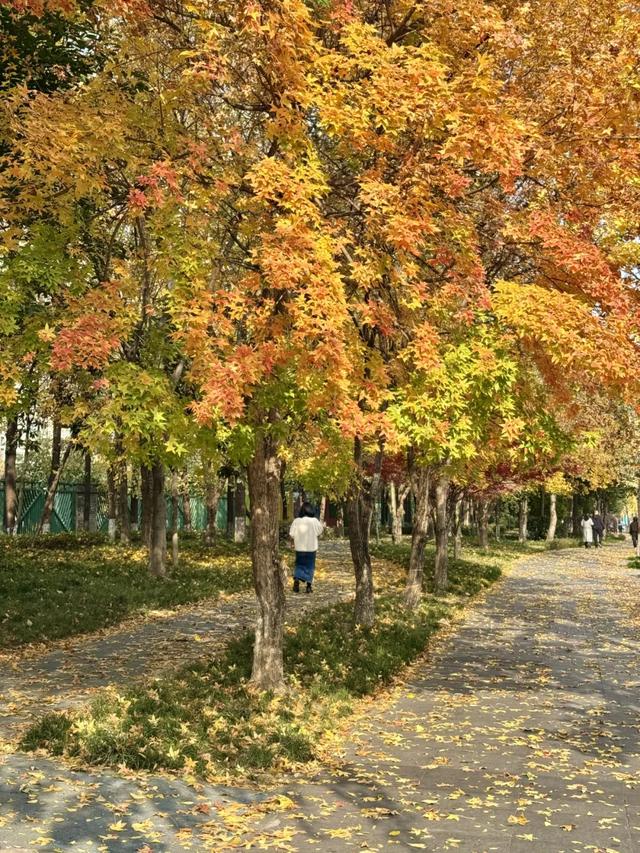 今日大雪 | 打卡这里,定格冬日专属美照