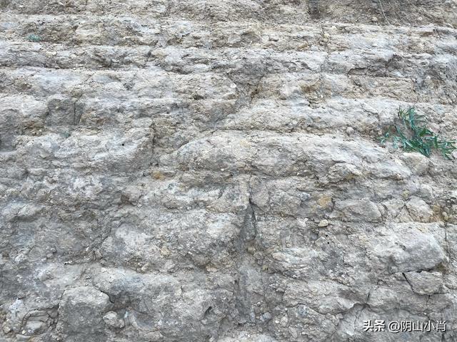 鄂尔多斯市达拉特旗田野考察笔记