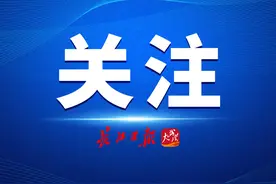 湖北法院线上办理《离婚证明书》，这是与离婚证一样的证明文件，2010年以来“诉讼离婚”的当事人均可办图片