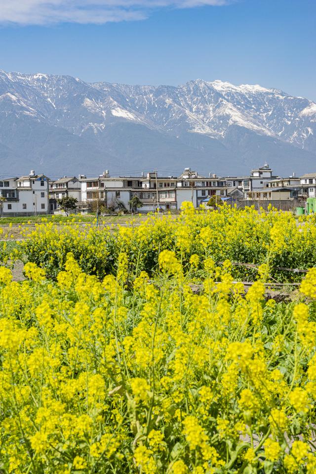 2025国内最受欢迎的50个旅行地，宜老宜少，你去过了几个？