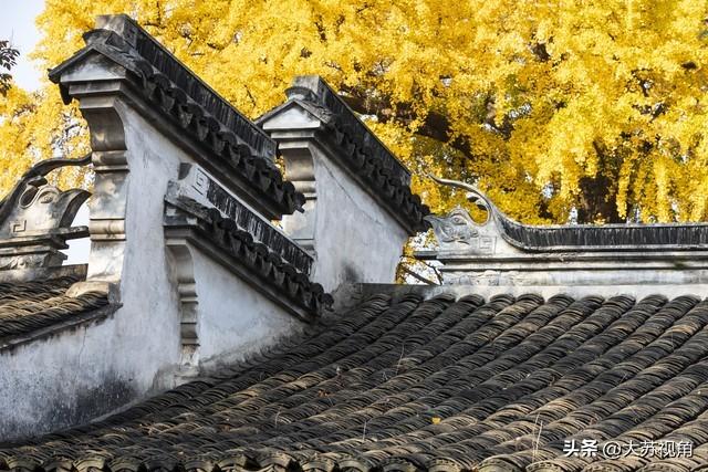 江苏秋日0元赏秋指南！15个反内卷秘境，全域美景不花1分钱