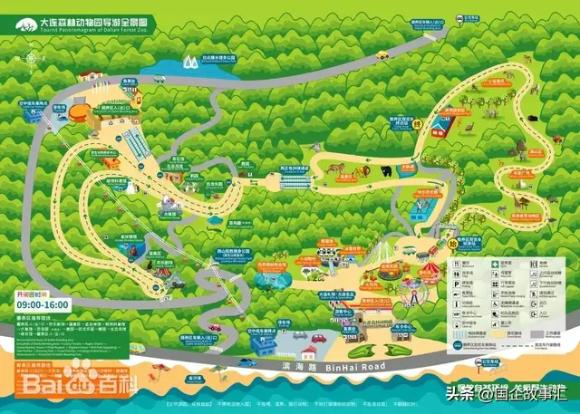 辽东半岛游记第六天，大连森林动物园