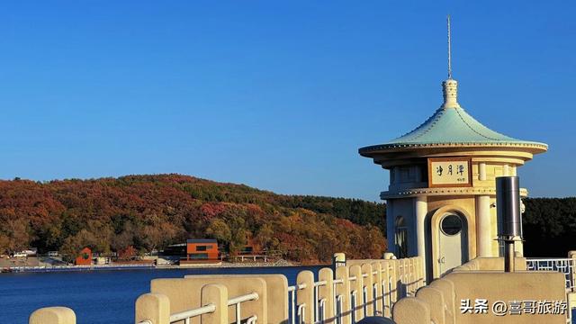 长春城市绿肺！我在净月潭洗了场22度森林浴，还乘了夜光星空缆车