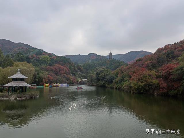 无为在歧路，济南红叶谷