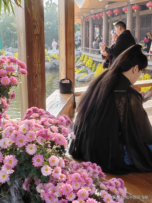 开封万岁山武侠城之约