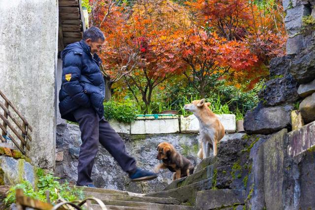 宁波四明山，成了“油画”