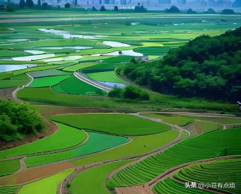 中美俄耕地面积差距太大：美国23亿亩，俄18.3亿，中国令人意外