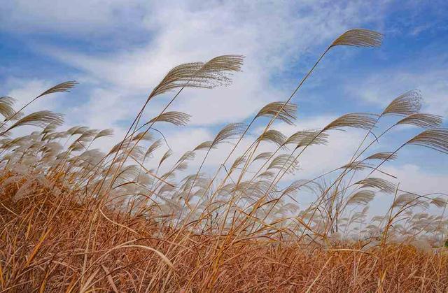 邂逅初冬！漫步郑州，在色彩斑斓中行走