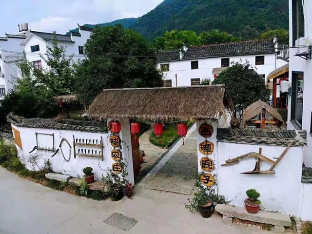 秋染东黄山：彩林、古道……这趟色彩约会快冲呀！| 皖美秋日