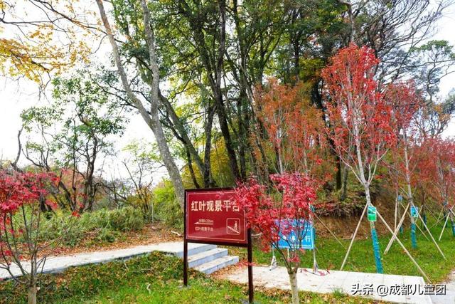 成都不远！这三个地方的红叶，美得很超过！
